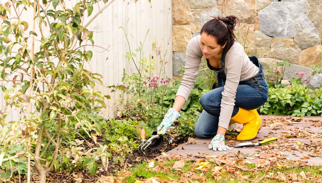 woman gardening in yard