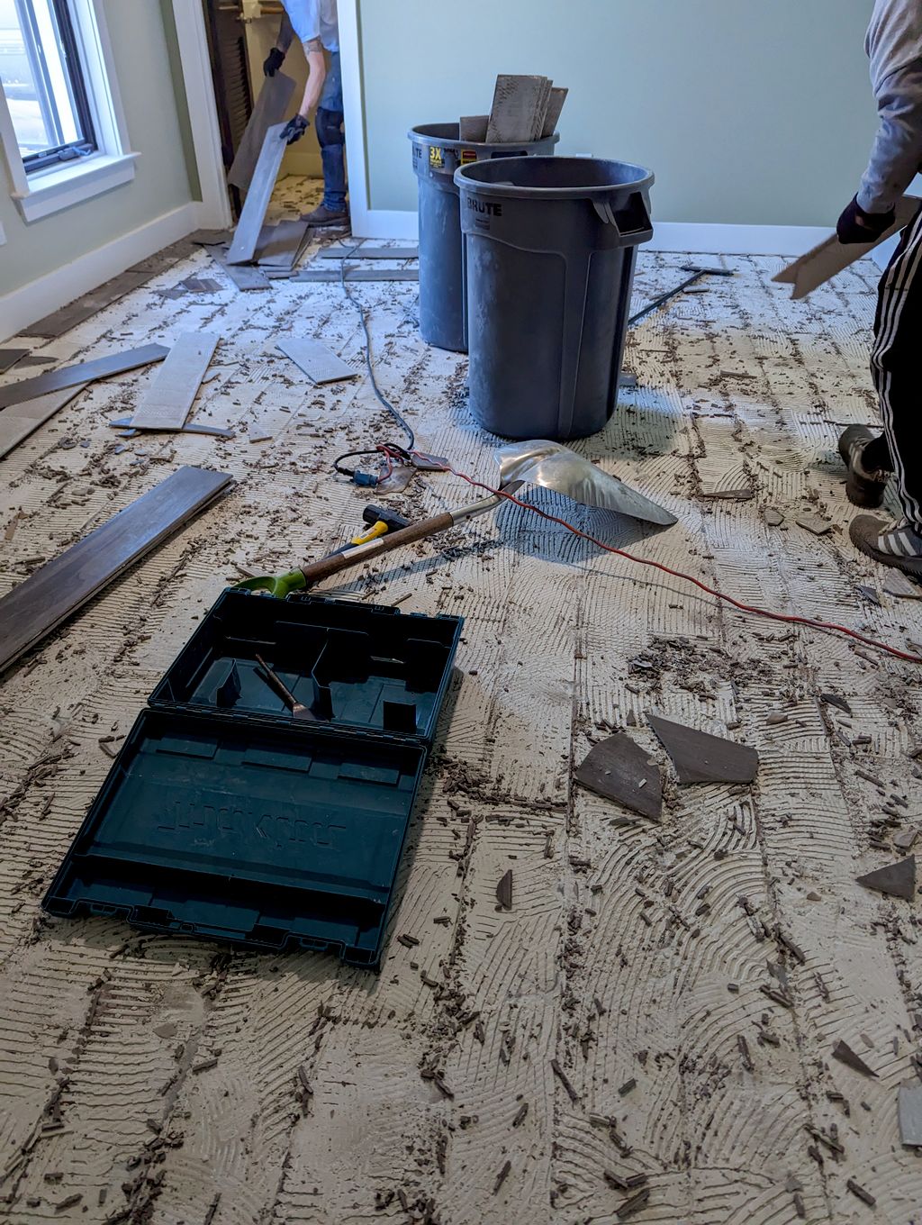 Projects and media