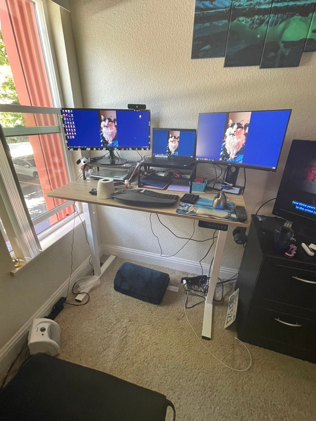 Customer photos