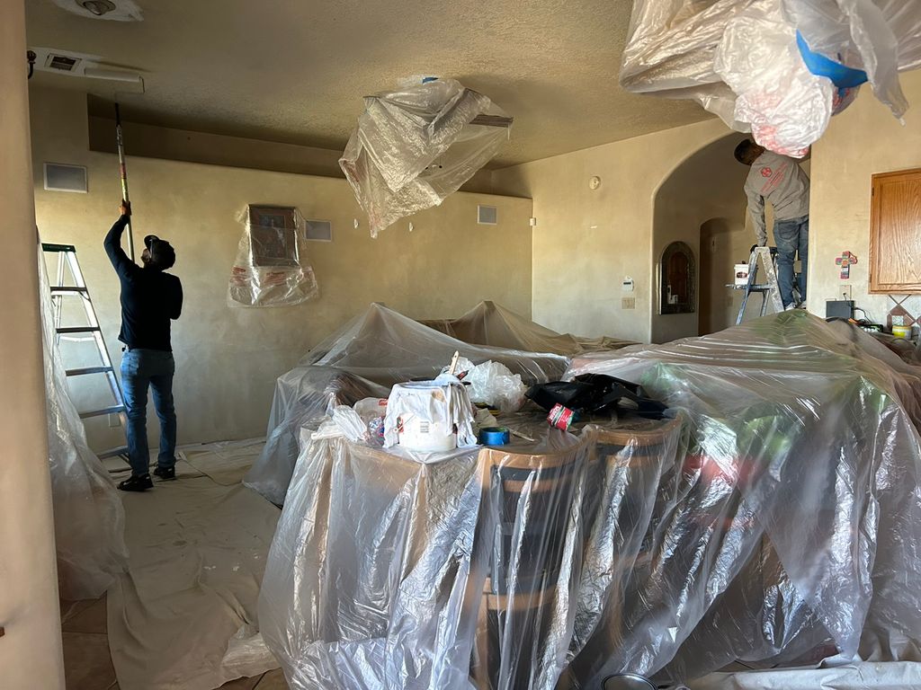 Projects and media
