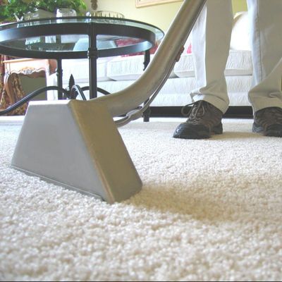 The 10 Best Carpet Cleaning Services In Marietta Ga 2024