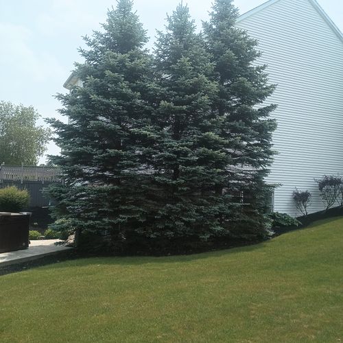 The “Honey Do” List Handyman Services Buffalo, NY