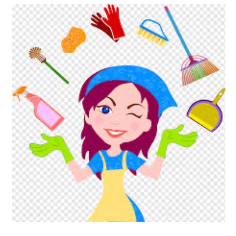 Chic Cleaning Services