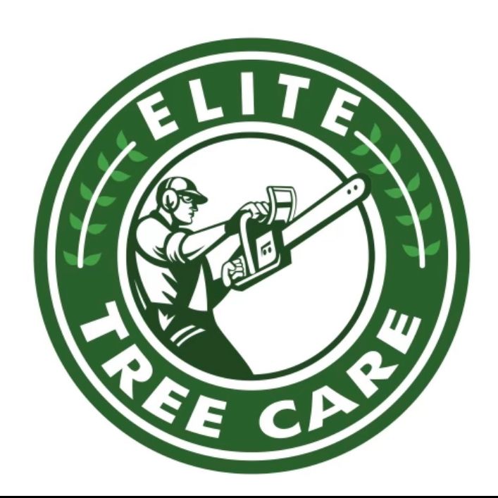 Elite tree service