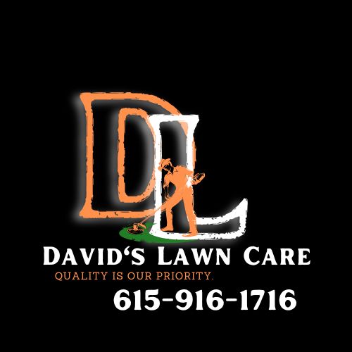 David’s lawn care