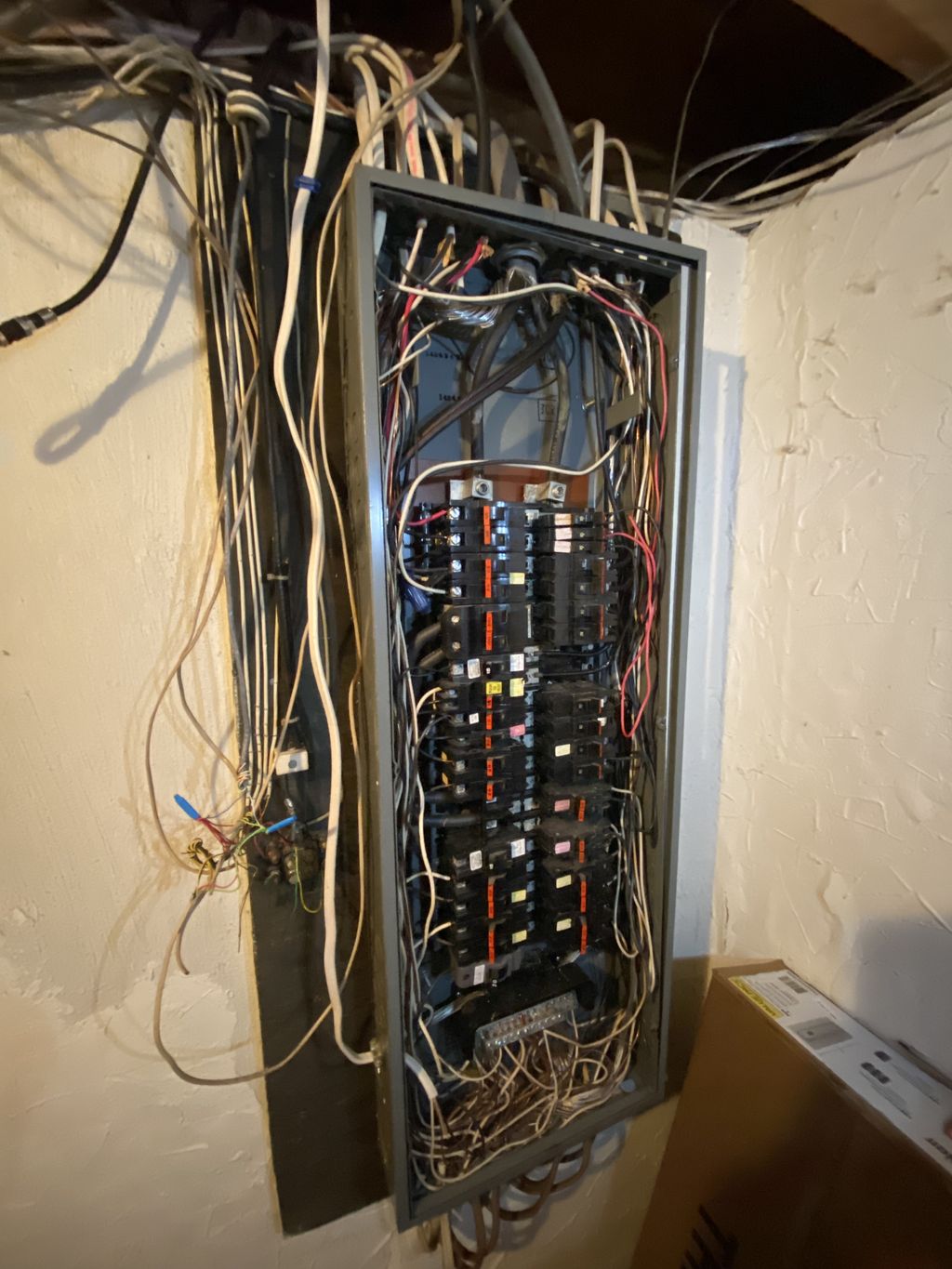 Projects and media