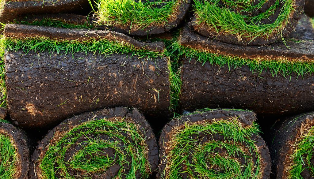 closeup of several sod rolls