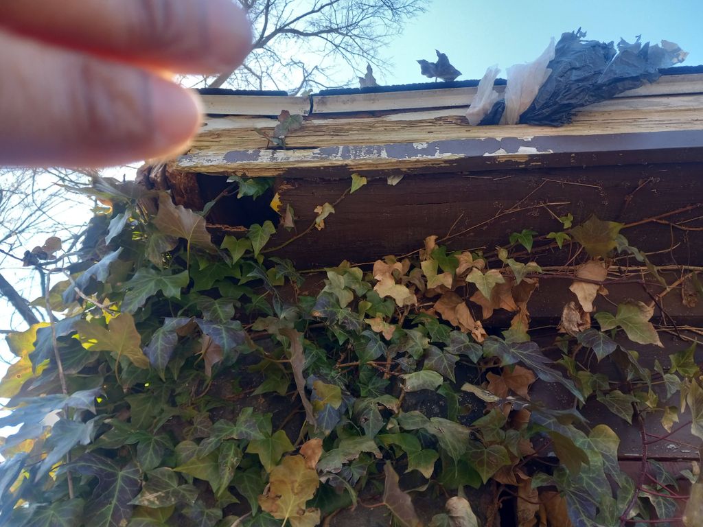 before fascia installation. Dead worn wood, housin