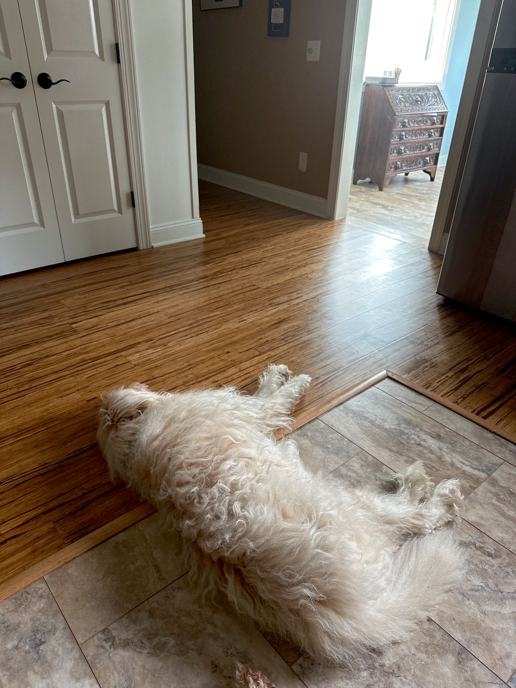 Priority Cleaning Clayton, NC Thumbtack