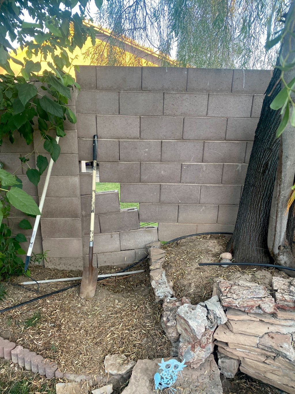 Customer photos