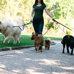 Marah Aguilar Pet Nanny