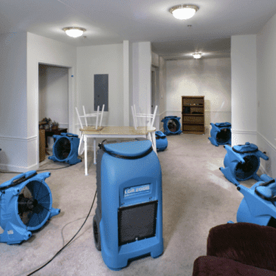 Drying Force Restoration