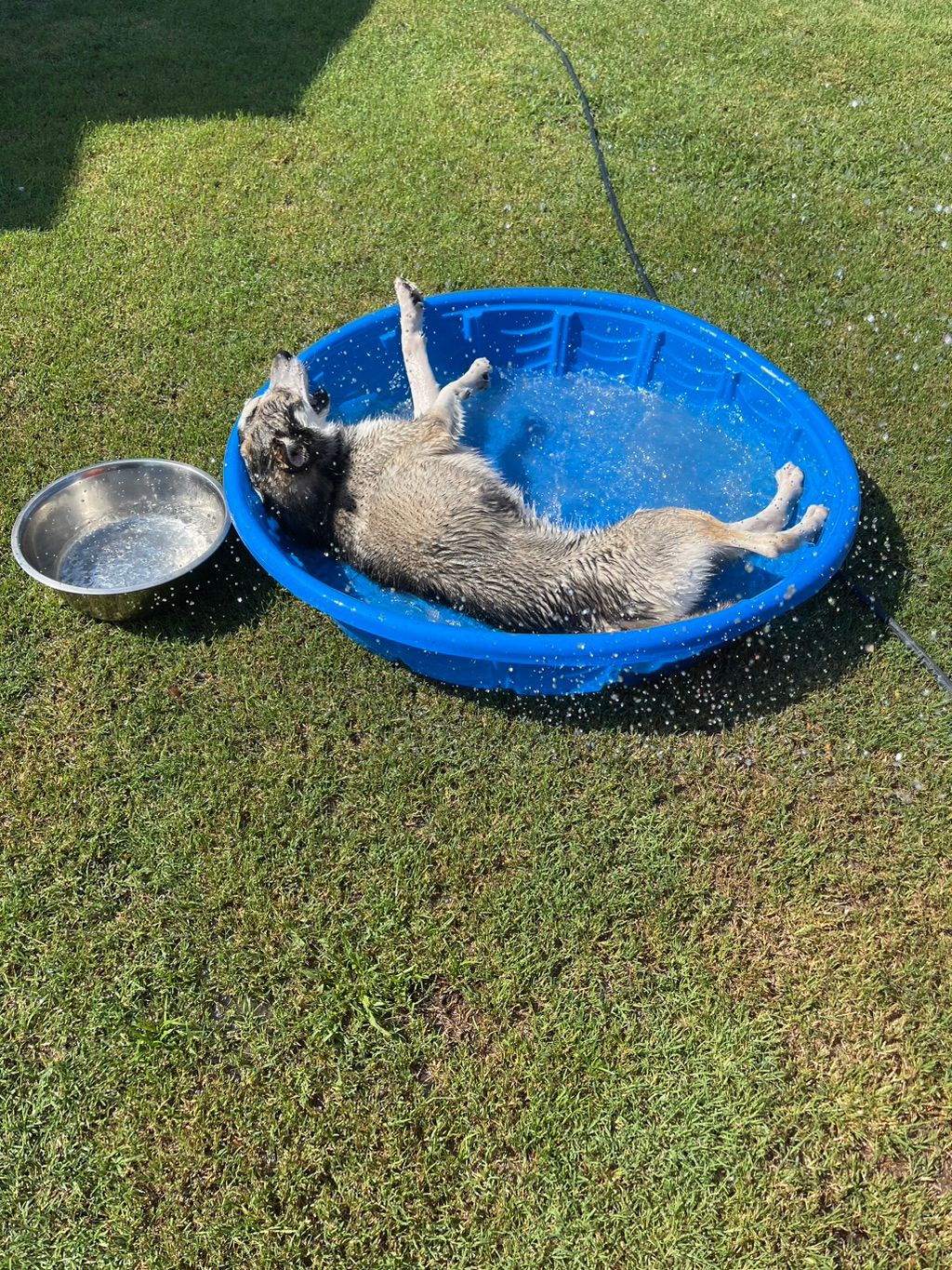 A little cooling off and water fun! 