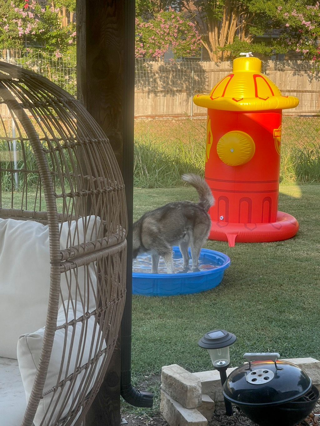Our doggie hydrant for the summer fun! 