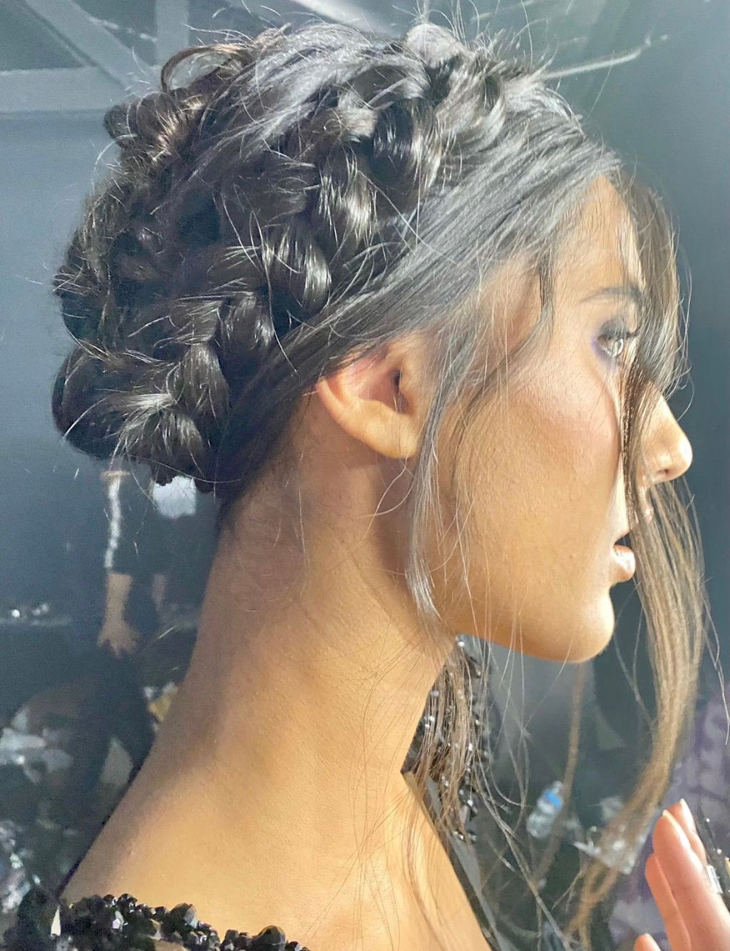 Braided Updo