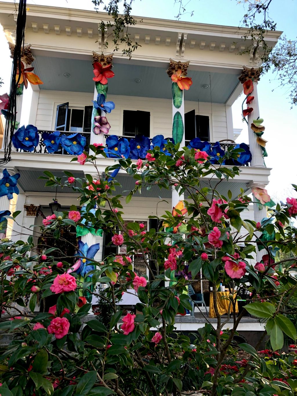 Our home's columns were decorated for Mardi Gras w