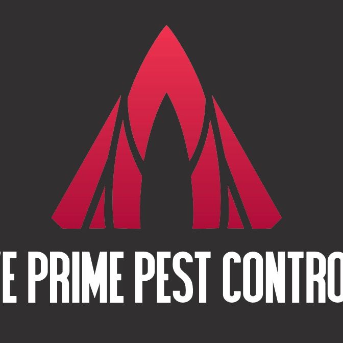 Active Prime Pest Control LLC