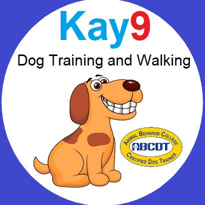 Kay9 Training and Walking