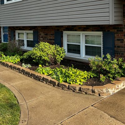 Avatar for Medrano’s Yard Scape Services