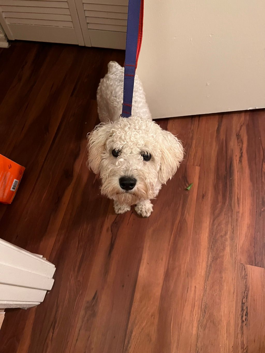 My Service Partner 
