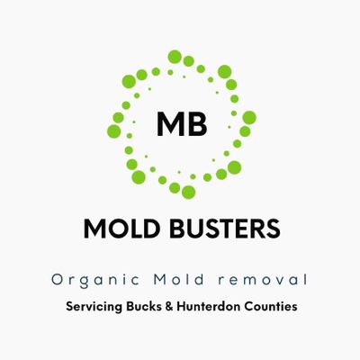 Avatar for Mold Busters