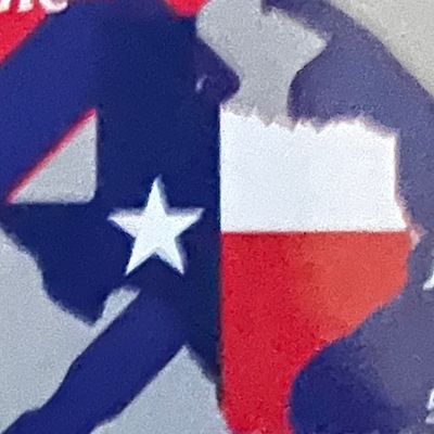 Avatar for Texas Home Solutions