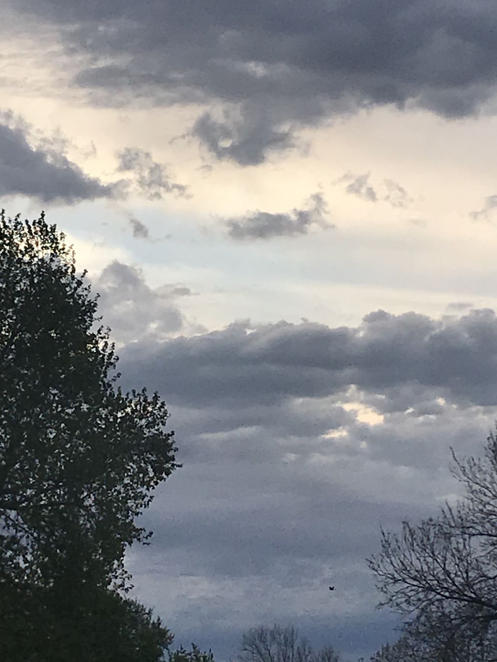 Kick aSs skyy
