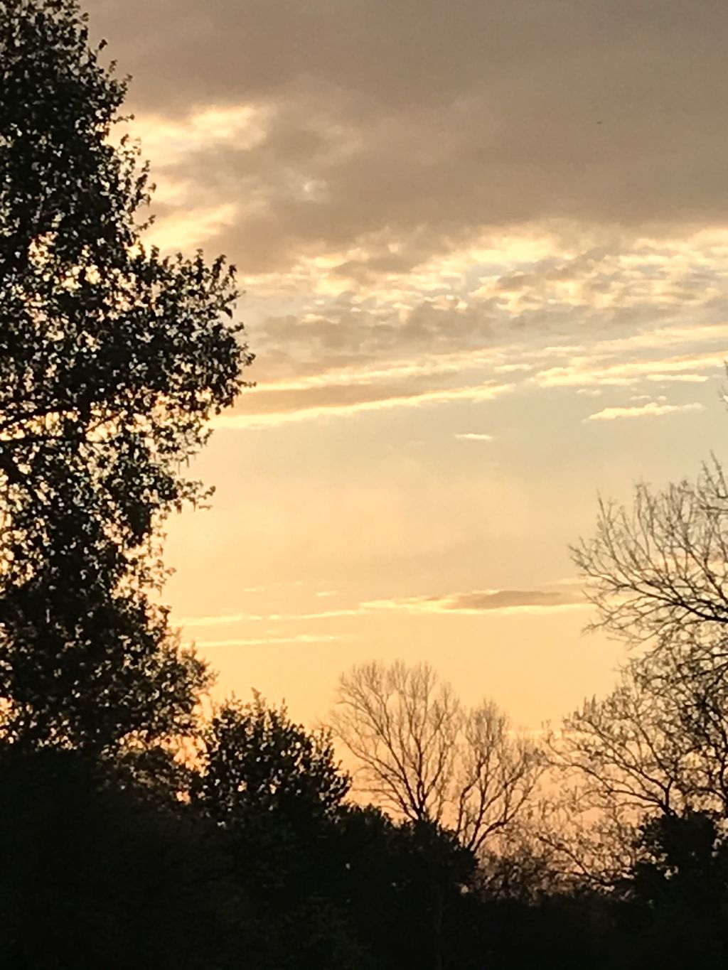 Kick aSs sky