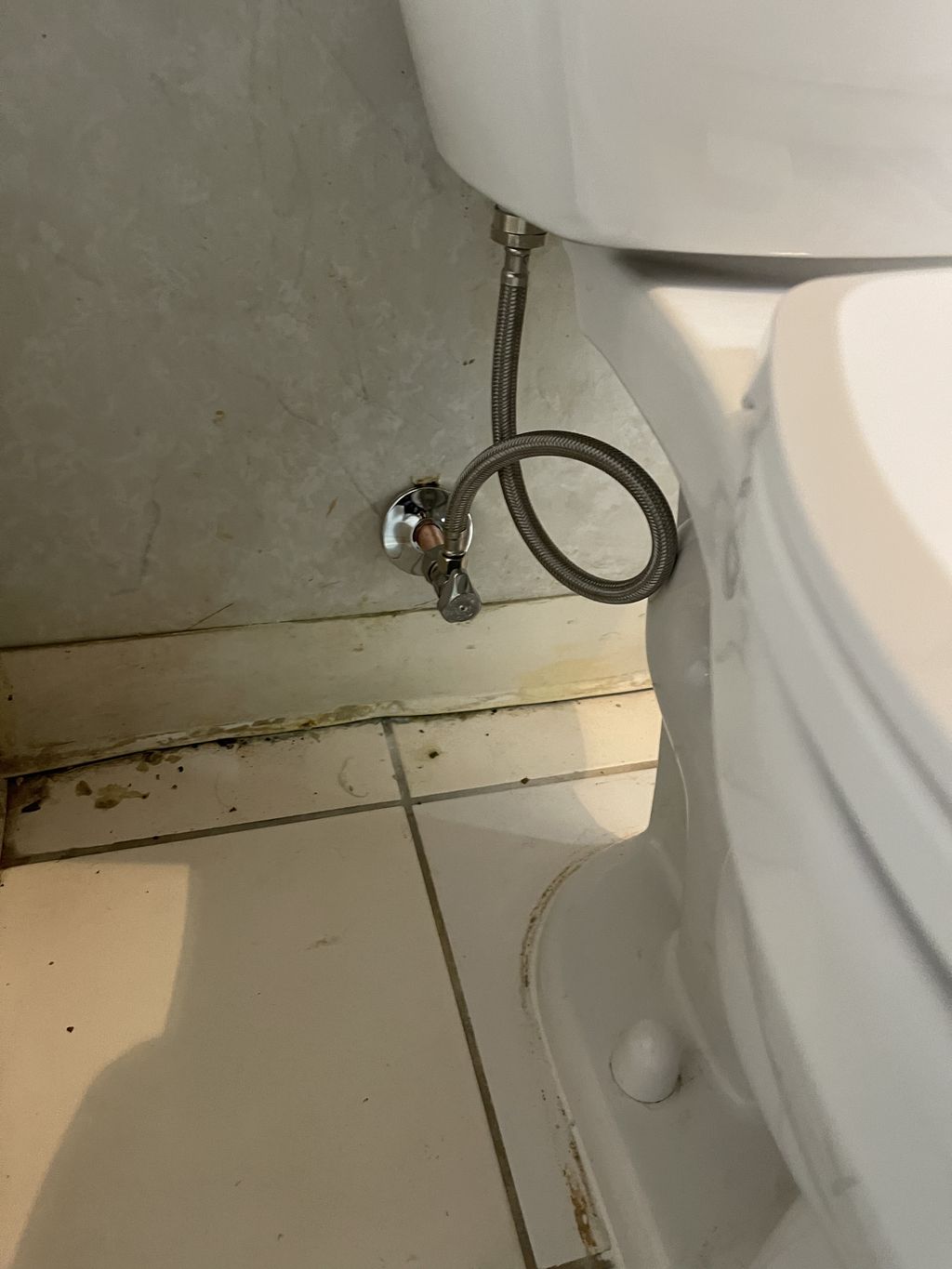 Toilet Repair