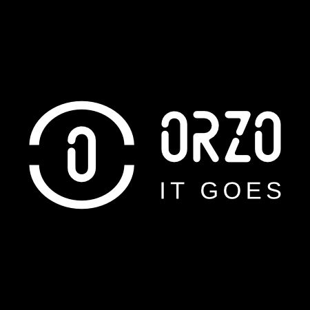 Orzo It Goes