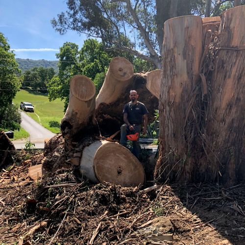 J.C. Tree Service LLC Profile Picture