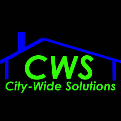 Avatar for City-Wide Solutions