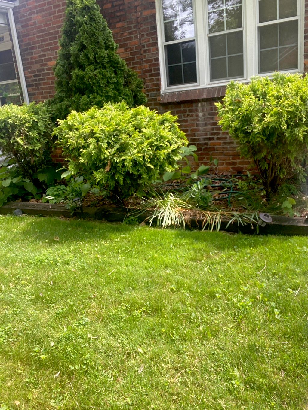 Customer photos