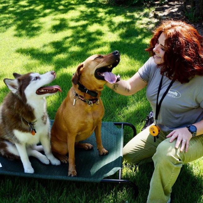 Happy Hounds