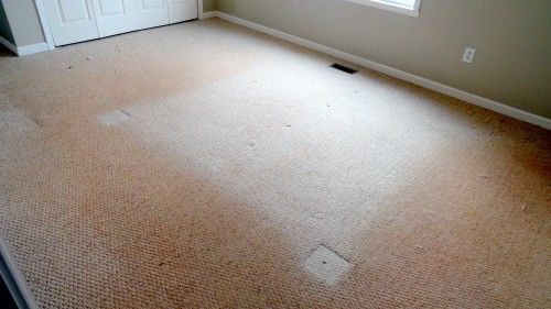 Carpet Cleaning