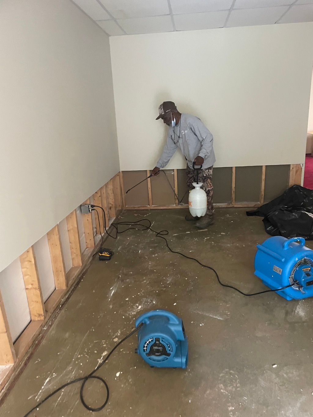 Projects and media