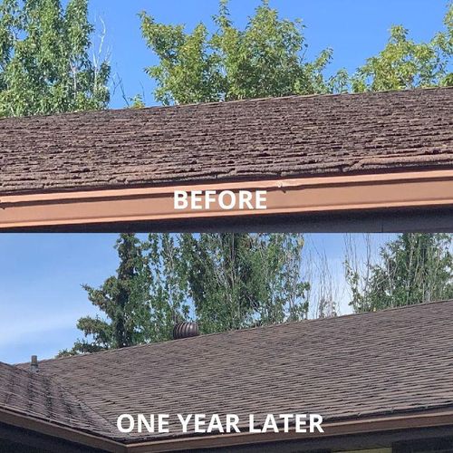 Before and After Roof Rejuvenation
