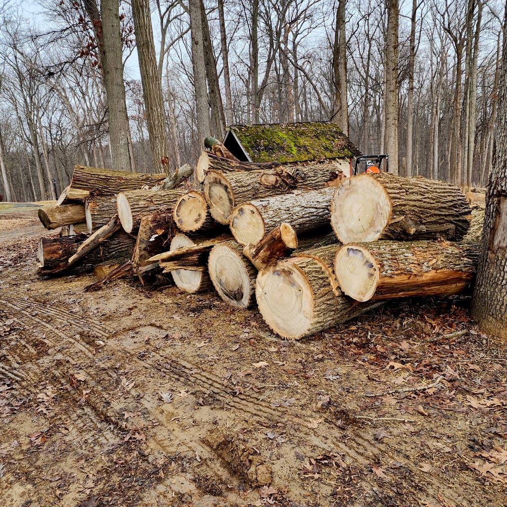 Buruca Tree Services