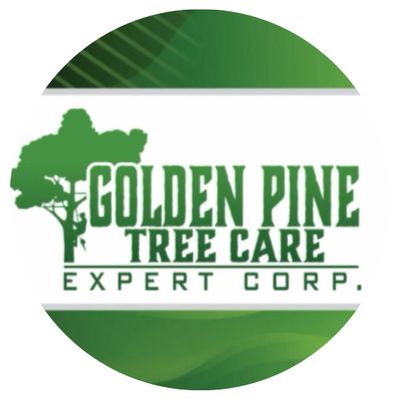 Avatar for Golden Pine Tree Expert