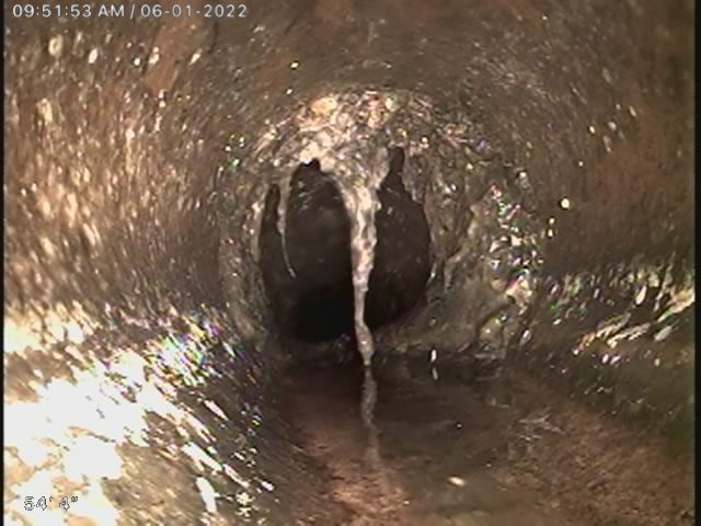 Root infested sewer service 