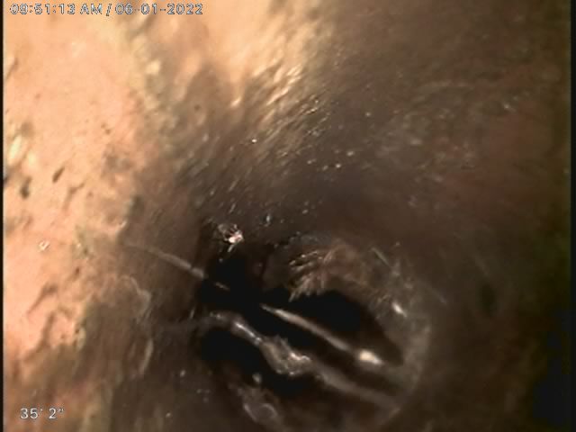 Root infested sewer service 