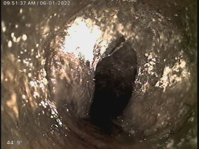 Root infested sewer service 