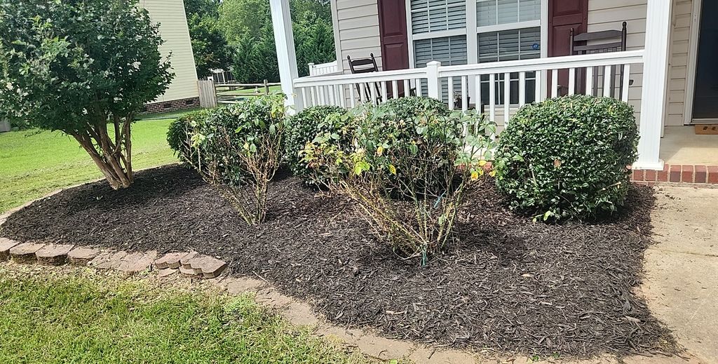 Great job done! My yard was borderline jungle and 