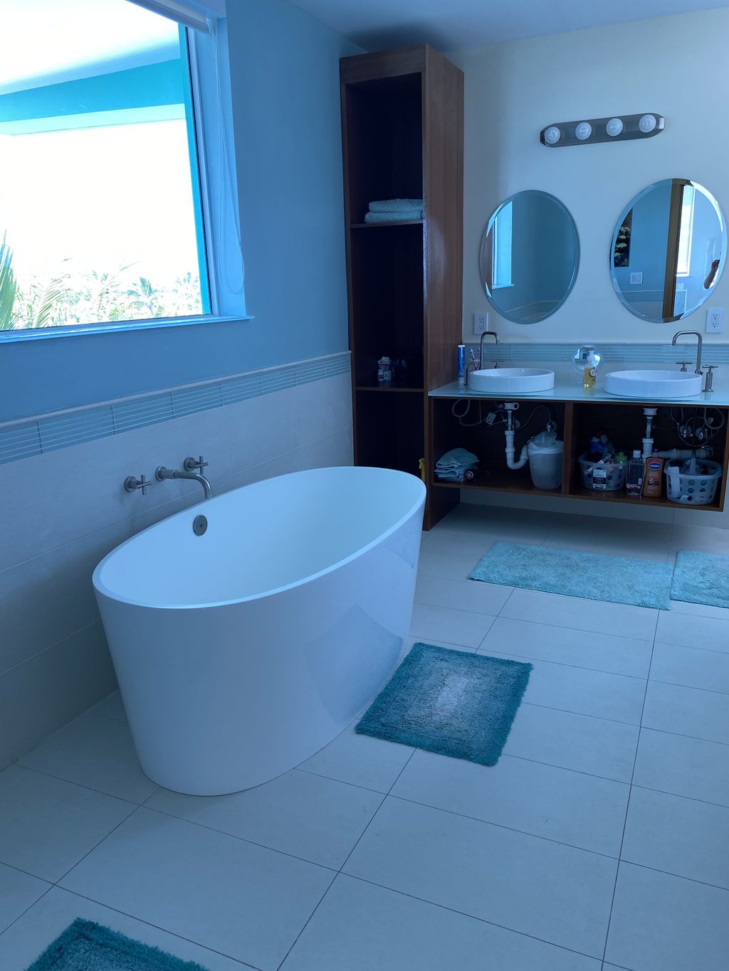 Bathroom Cleaning 