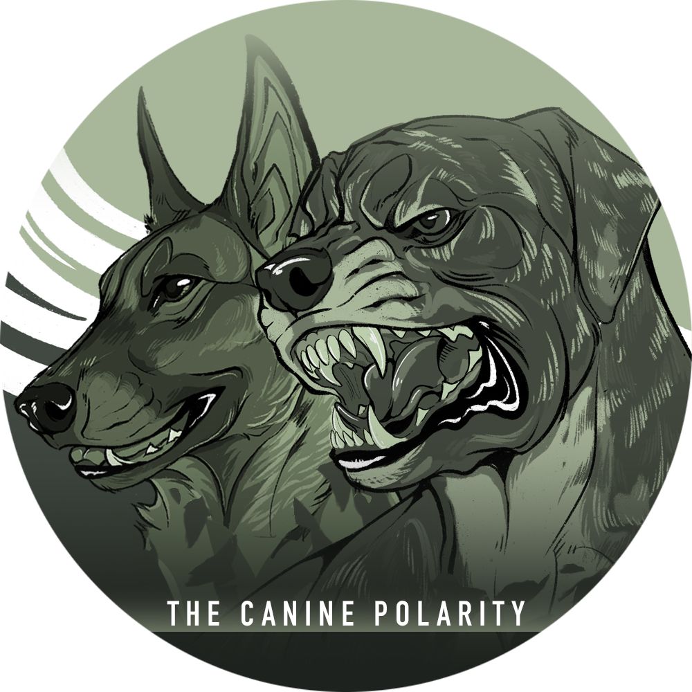 The Canine Polarity