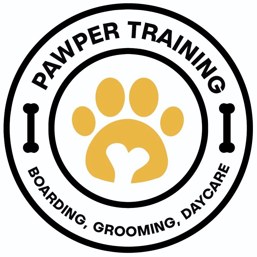 Pawper Training