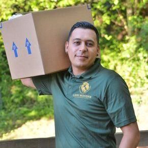 Lion Movers LLC