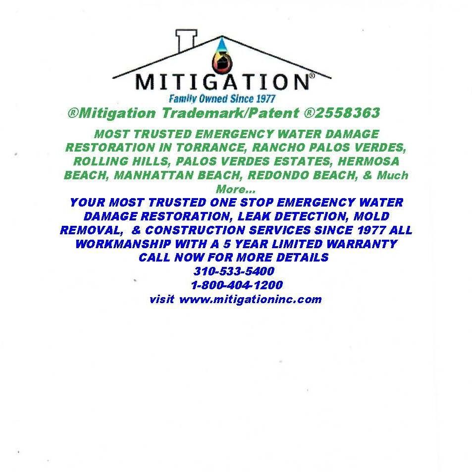 Leak Detection McDonalds Construction Mitigation