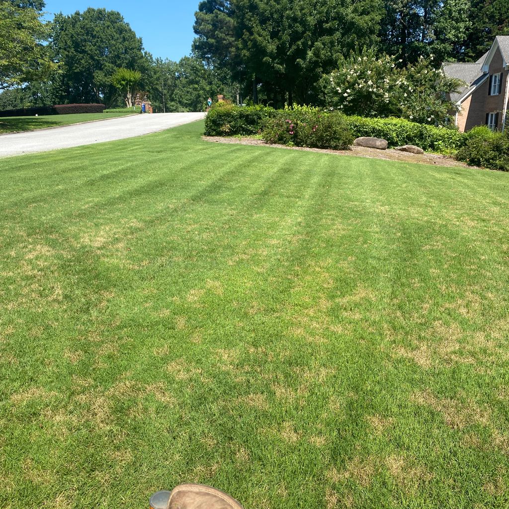 Reliance landscaping