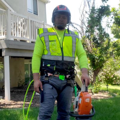 Avatar for All Star Tree Service & Landscaping